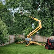 Best Tree Planting Services  in Columbus, TX